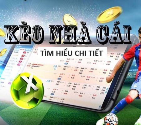 Nhà cái uy tín nhất Việt Nam gọi tên anh tài vnq8